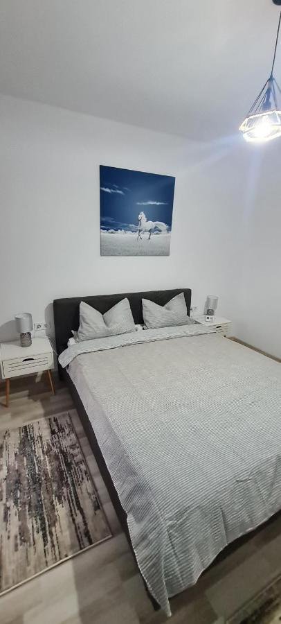 La Andrei Apartment Bistrita  Bagian luar foto